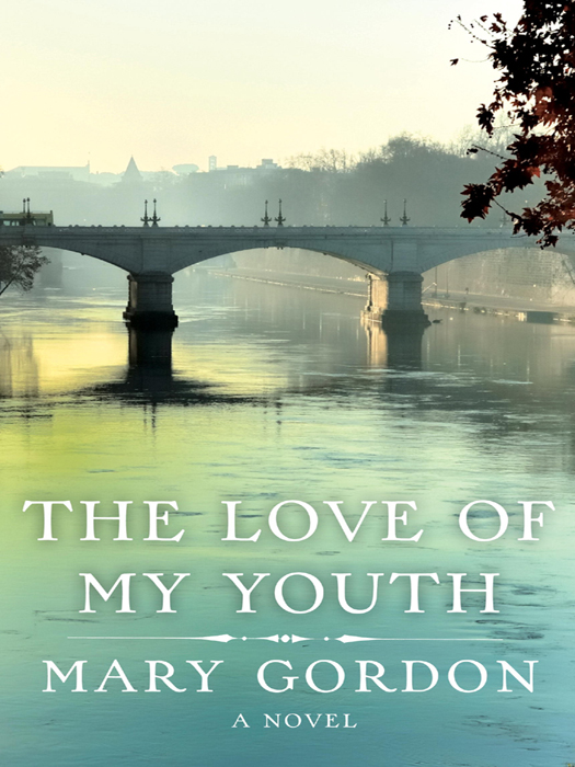 The Love of My Youth: A Novel